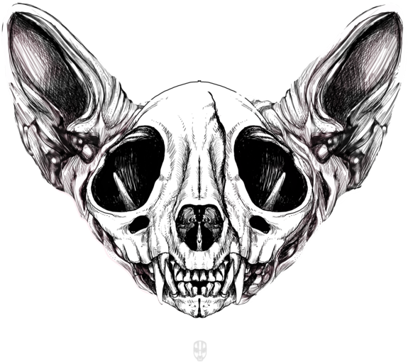 Sphynx Skull Women T Shirt By Fakeface - Skull Pussy (600x600), Png Download