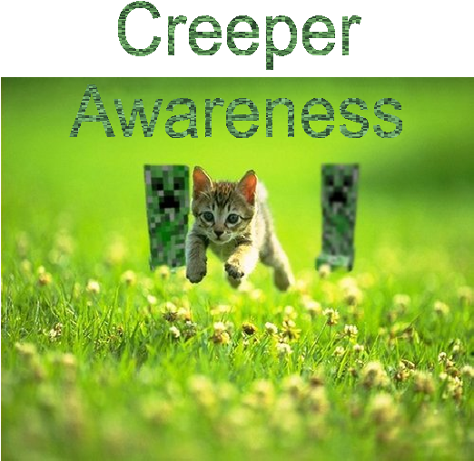 Minecraft Curseforge - Cat Running In Field (521x521), Png Download