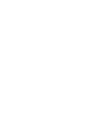 Free Png Snowflake Png Images Transparent - Portable Network Graphics (480x480), Png Download