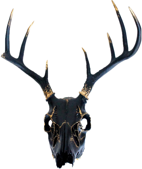 Thanatos Shrine Graphic Black And White Stock - Black And Gold Deer Skull (500x581), Png Download