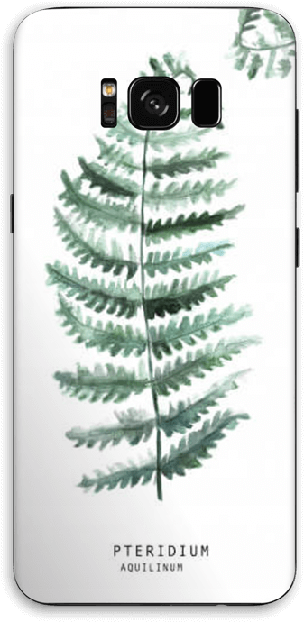 Pteridium Aquilinum Skin Galaxy S8 - Ipad (389x800), Png Download