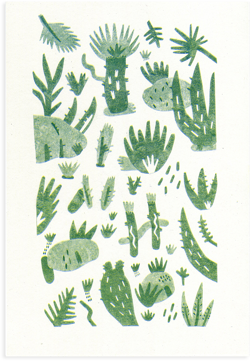 Cacti 2 By Rachael Edwards - Cactus (1754x1240), Png Download