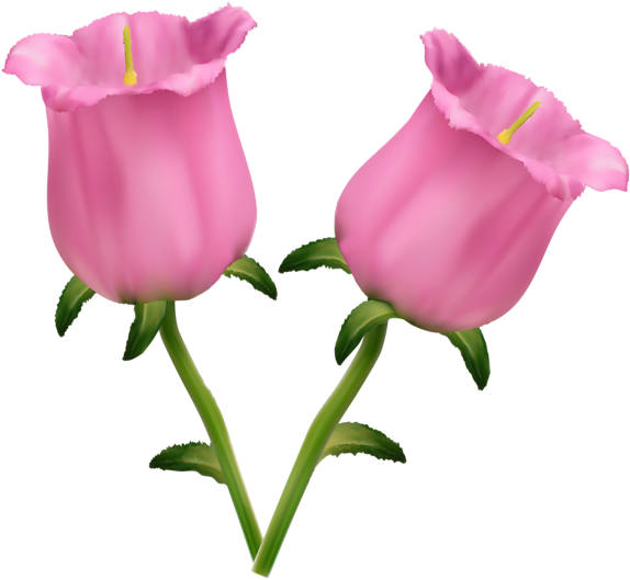 Pink Flowers Bells Png Clipart Image - Flores Coloridas Hermosas (600x547), Png Download