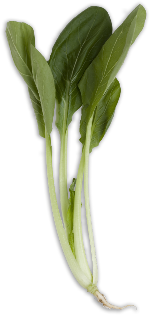 Bok Choy Transparent Png - Vegetable (507x1024), Png Download