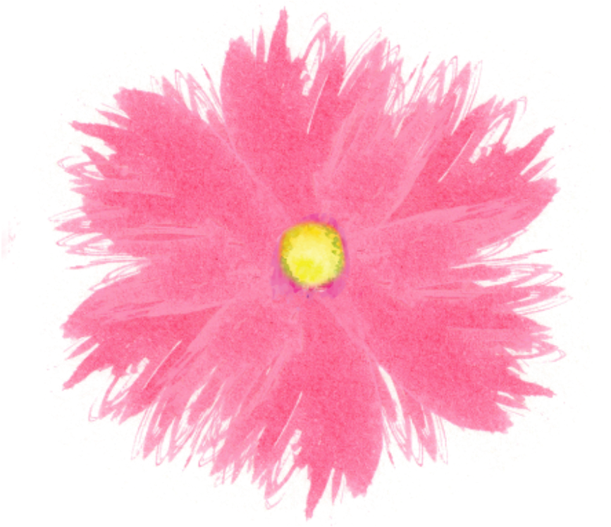 Ftestickers Watercolor Flower Pink - Watercolor Painting (1024x1024), Png Download