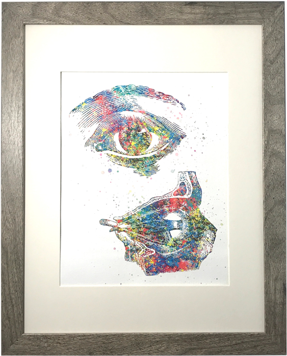 Anatomical Eye Watercolor Canvas - Watercolor Painting (800x800), Png Download