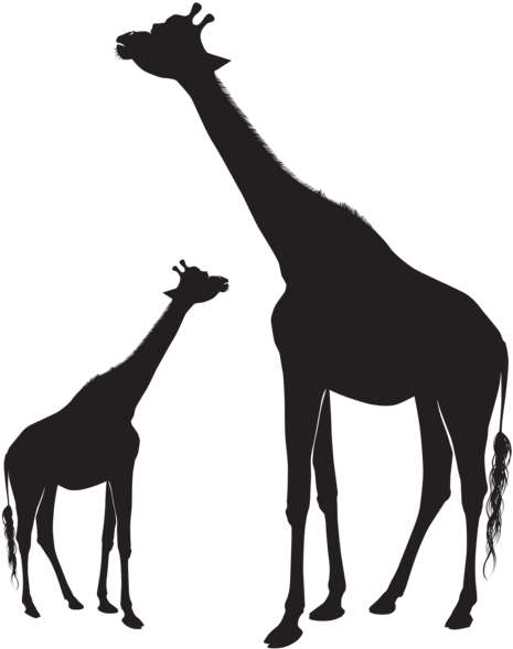 Giraffe Silhouette Png - Silhouette Clipart Giraffe (487x600), Png Download