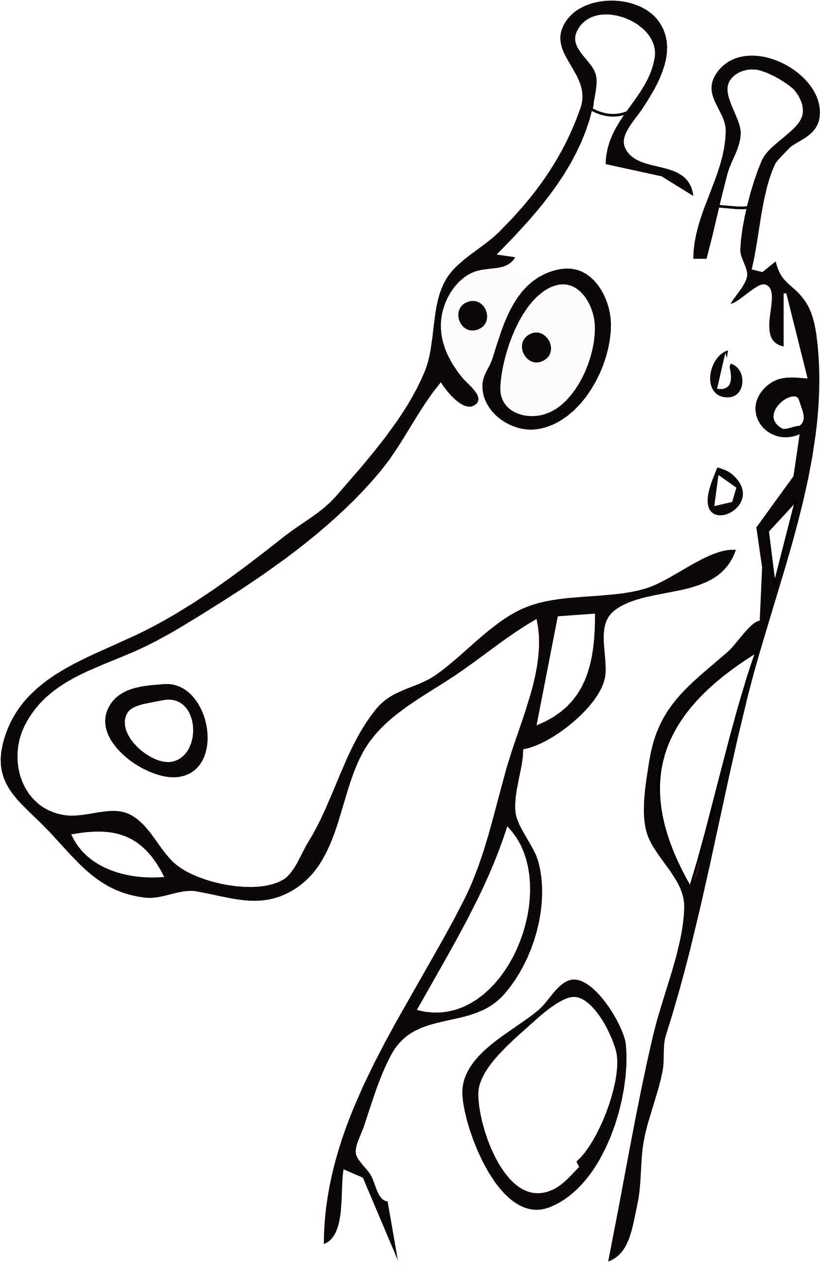 Clip Art Black And White - Black And White Picture Of A Giraffe (1979x2799), Png Download