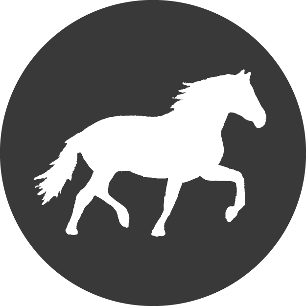 Knox Horse Icon - Facebook (625x625), Png Download