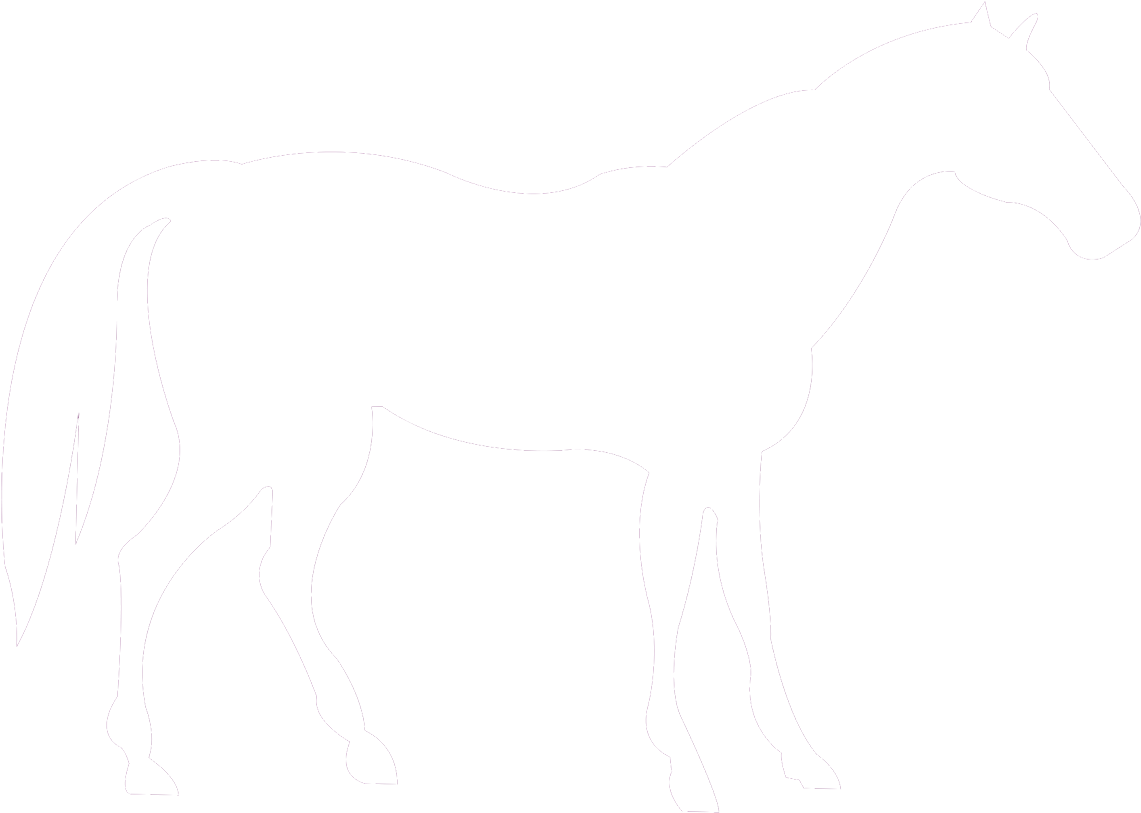 Horse-icon - Horse Clinic (1500x1000), Png Download