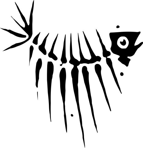 Hotsigns And Decals - Skeleton (582x601), Png Download