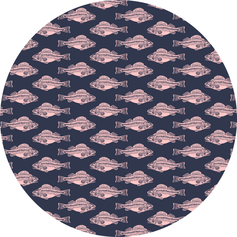 Pink Fish Skeleton - Makeup Revolution London Pro Illuminate (800x800), Png Download