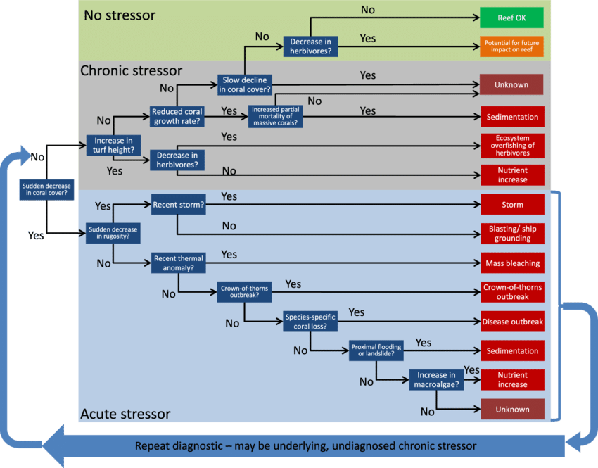 Diagnostic Decision Tree For Main Reef Stressors - Medical Diagnosis (850x665), Png Download