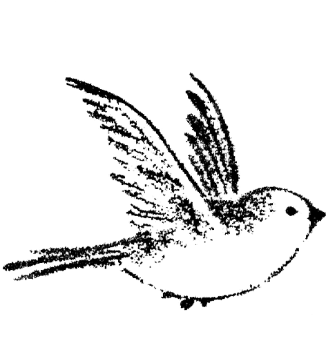 Small Birds Flying Drawing (800x629), Png Download