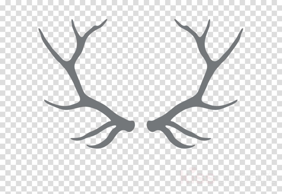 Download White Antler Png Clipart White-tailed Deer - Deer (900x620), Png Download