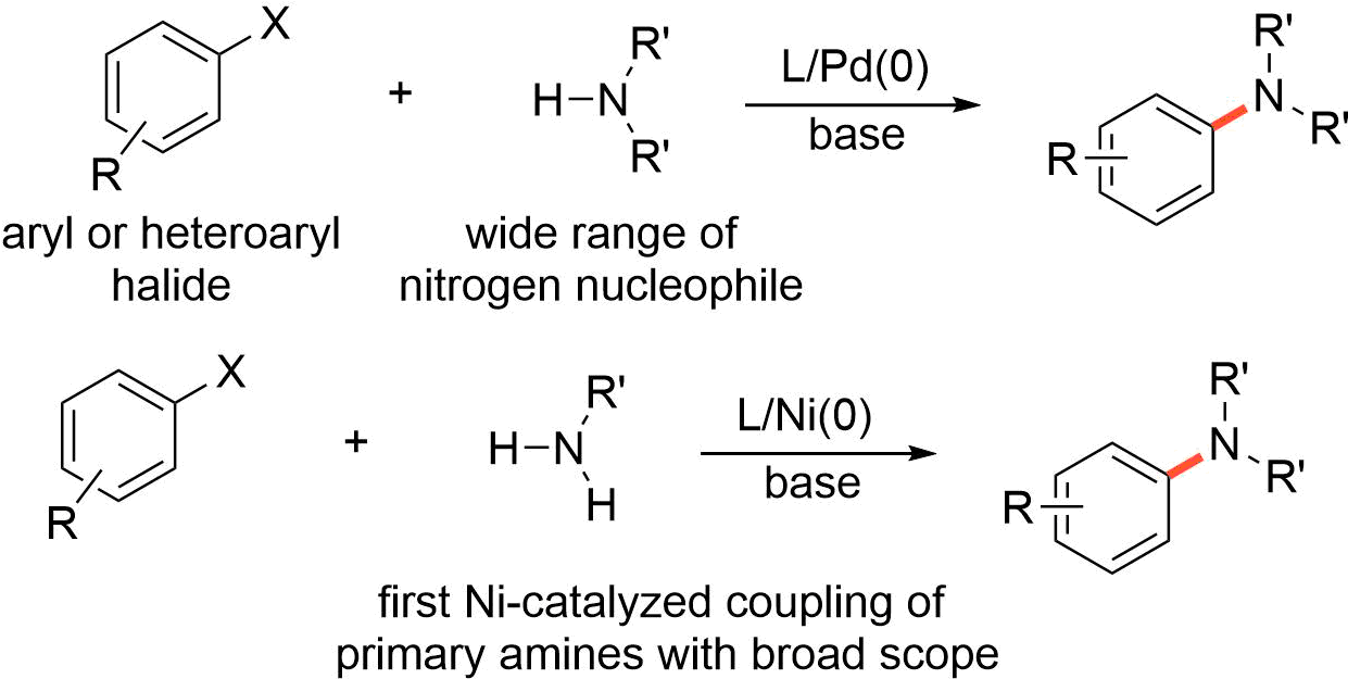 Scheme6 - Aryl Halide Amine Coupling (1259x643), Png Download