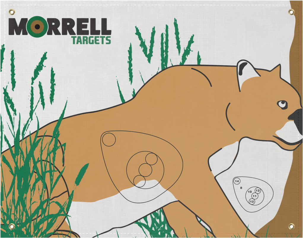 Mountain Lion Polypropylene Archery Target Face - Morrell Targets Polypropylene Archery Target Face, (1024x1024), Png Download
