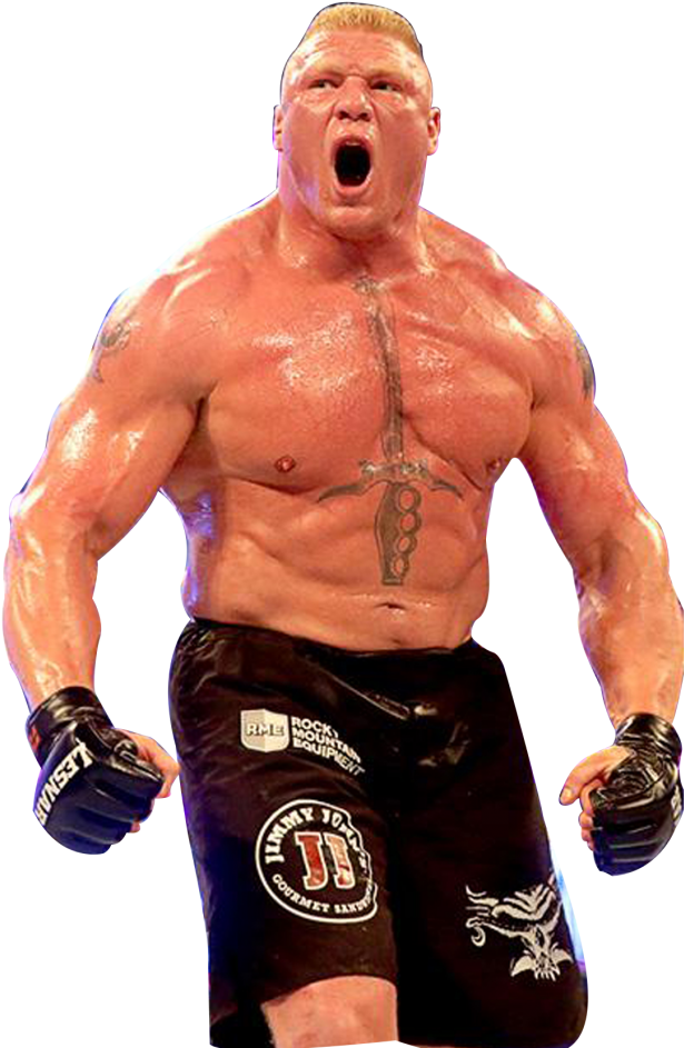 Free Download Brok Lesnar Hd Png Image In Fight With - Hq Wwe (900x1000), Png Download