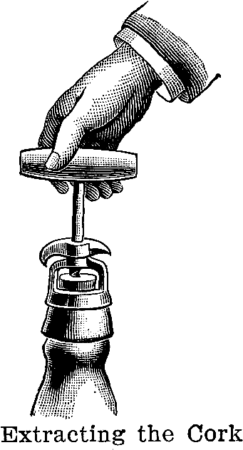 Cocktails Clipart Vintage Champagne Bottle - Illustration (667x687), Png Download