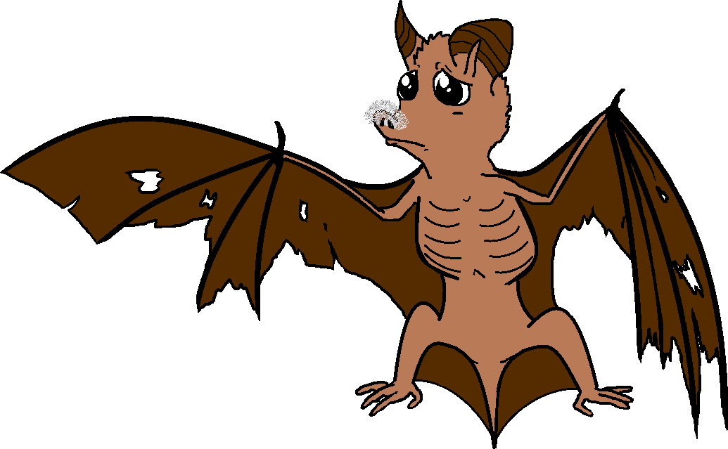 White Nose Syndrome Is A Bat-killing Fungal Disease - White Nose Syndrome Clipart (1035x639), Png Download