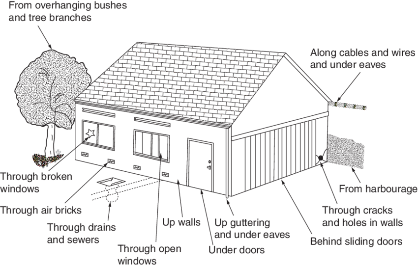 Download - Peaal 3011450 Peavey Guitar Hanger Hd (850x544), Png Download