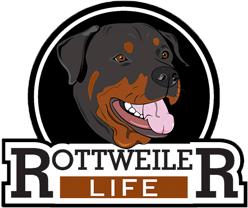 Rottweiler (600x599), Png Download