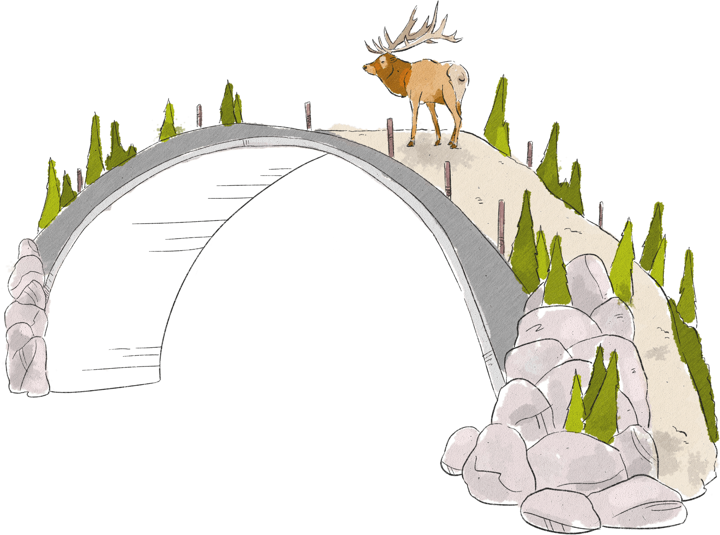 Live - Reindeer (2421x1799), Png Download