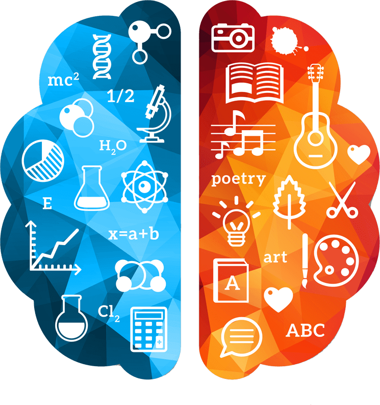 Left And Right Brain Vector (745x793), Png Download