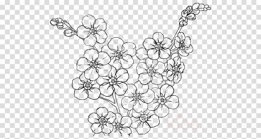 Cherry Blossom Drawing Clipart Cherry Blossom Line - Comic Book Explosion Png (900x480), Png Download