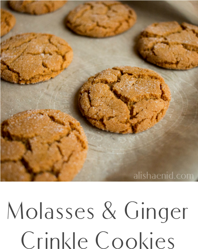 Ginger And Molasses Crinkle Alisha Enid My - Ginger (650x891), Png Download