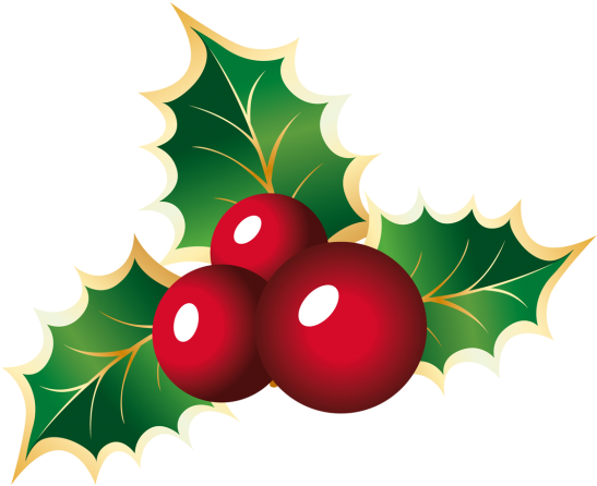 Holly On Transparent Background (600x600), Png Download