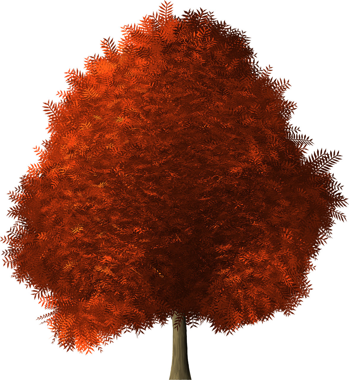 Maple Tree Maple Tree Red Png Image - Maple (1176x1280), Png Download