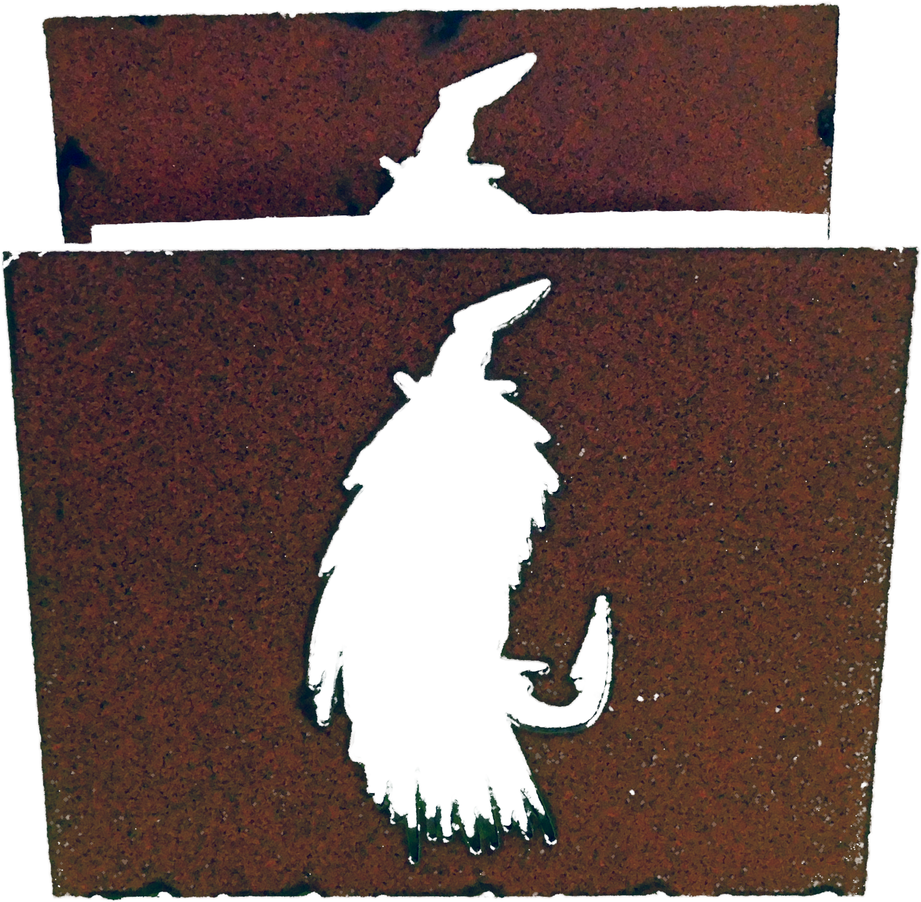Fly Larger Image - Llama (4608x3456), Png Download