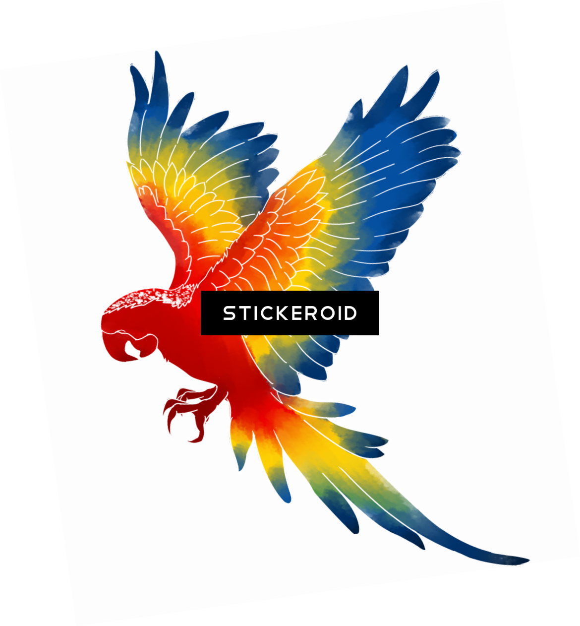 Macaw - Macaw Png (1170x1262), Png Download