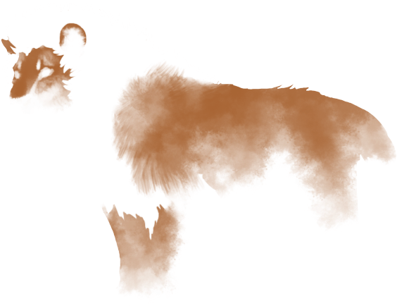 Brown Smoke Transparent Image - Lion (640x500), Png Download