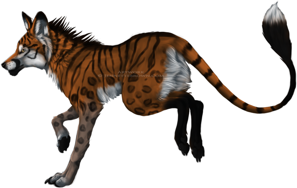 Drawn Hyena Hybrid - Tiger And Fox Mixed (1024x674), Png Download