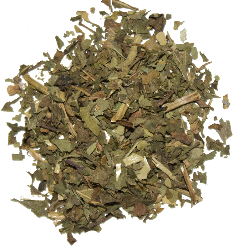 Rainforest - Peppermint Tea (800x800), Png Download