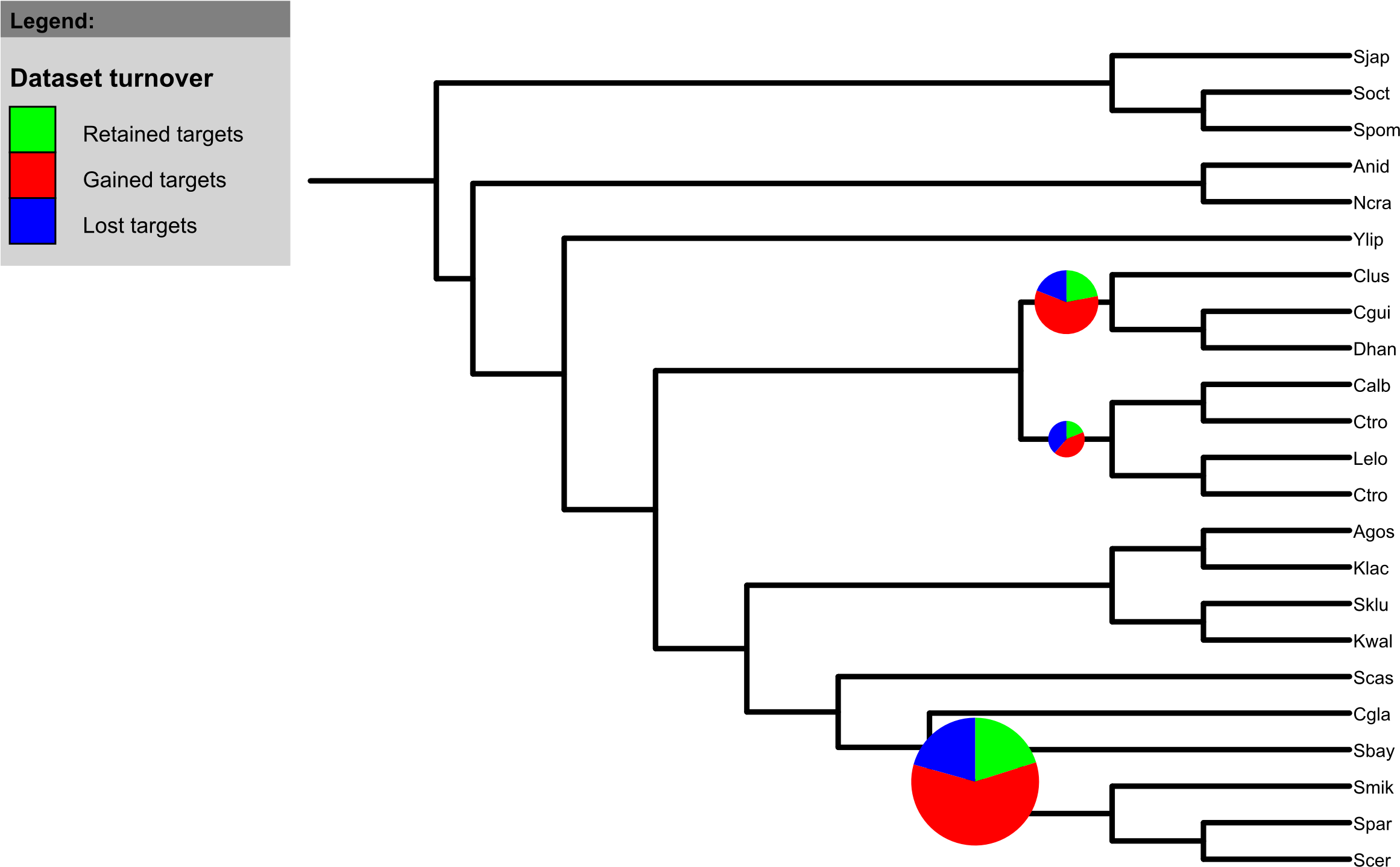Summary Figure Of The Functional Modules Across The - Diagram (2350x2100), Png Download