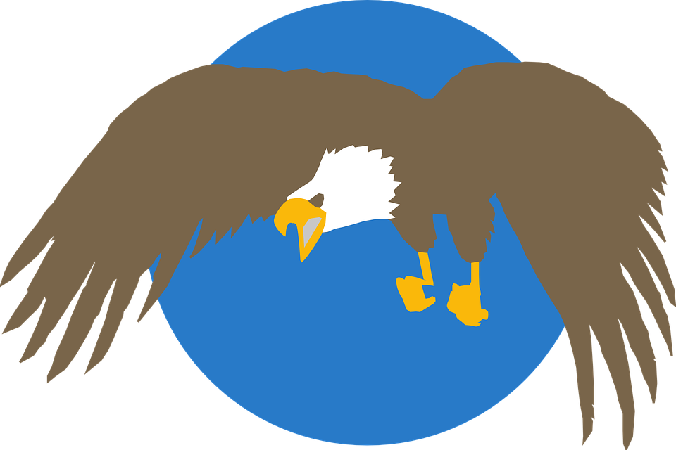 Blue Eagle Circle (960x640), Png Download