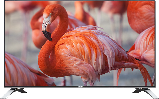 55" Toshiba Ultra Hd Wlan Tv Front - Toshiba 55u6663 (640x640), Png Download