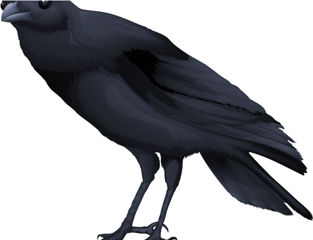 Blackbird Clipart Koyal - Common Blackbird (640x480), Png Download