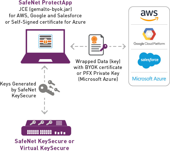 Keysecure Protectapp Byok - Gemalto Kms (701x645), Png Download