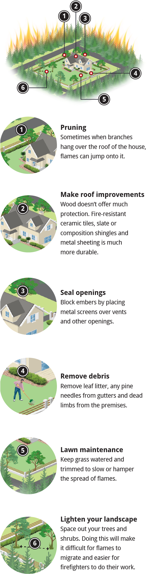 National Geographic, Firewise - Cd (500x1970), Png Download