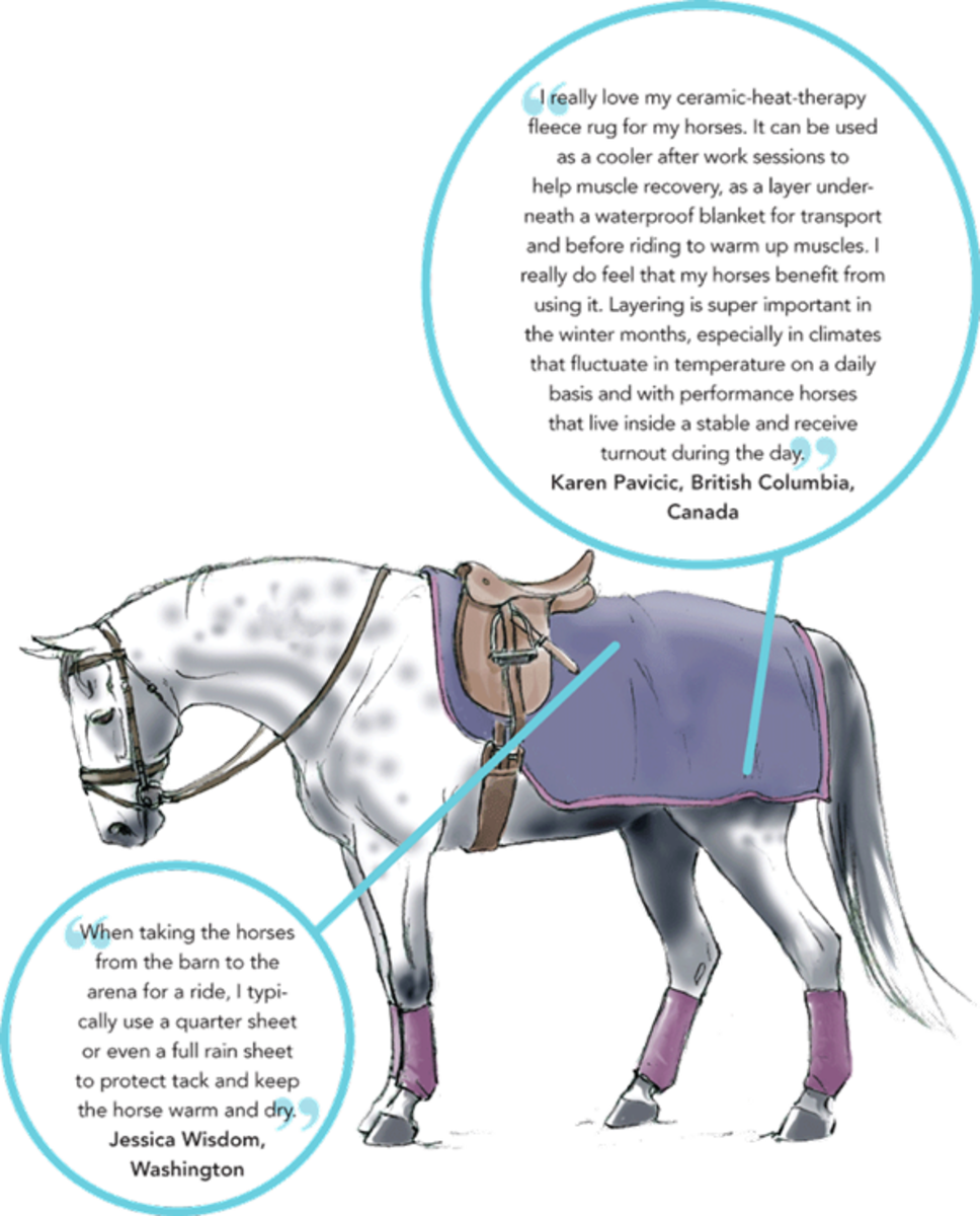 Dt 04 Horse Rider Winter Gear - Illustration (968x1200), Png Download