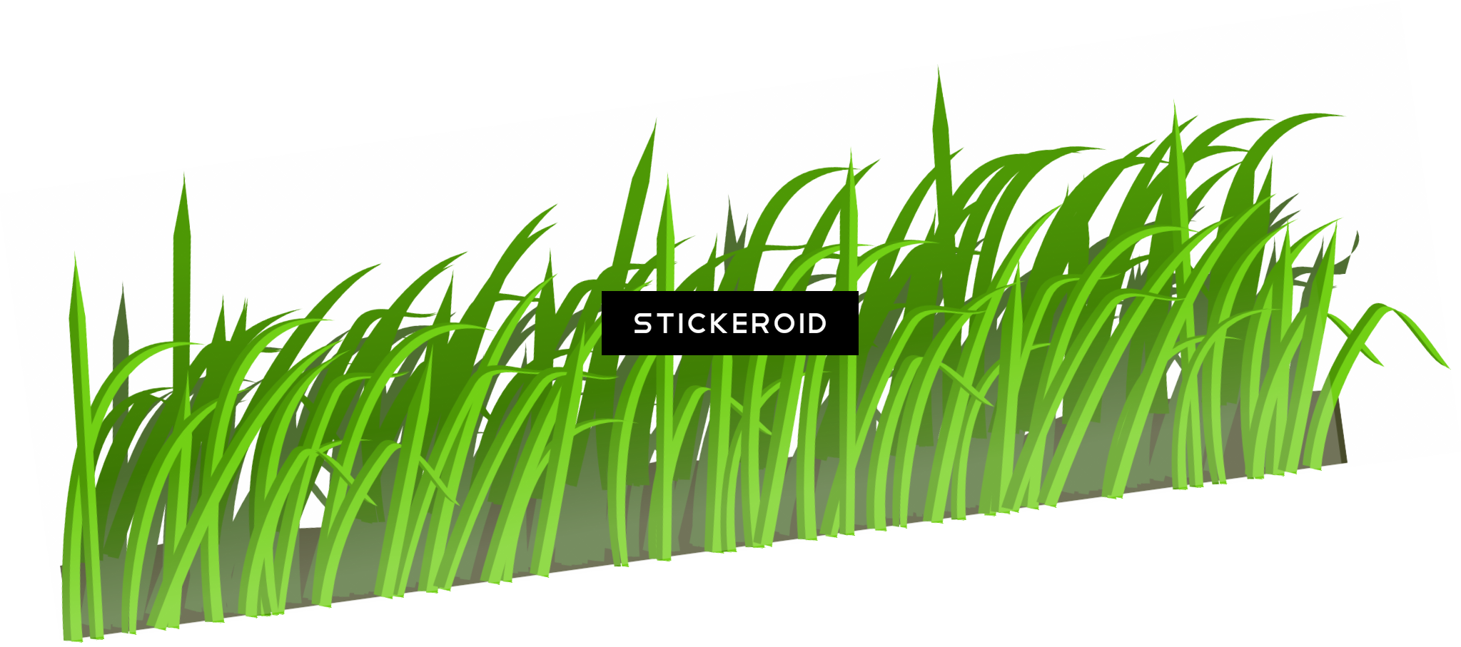 Grass Green Grass Nature - Field Of Grass Shower Curtain (2047x907), Png Download