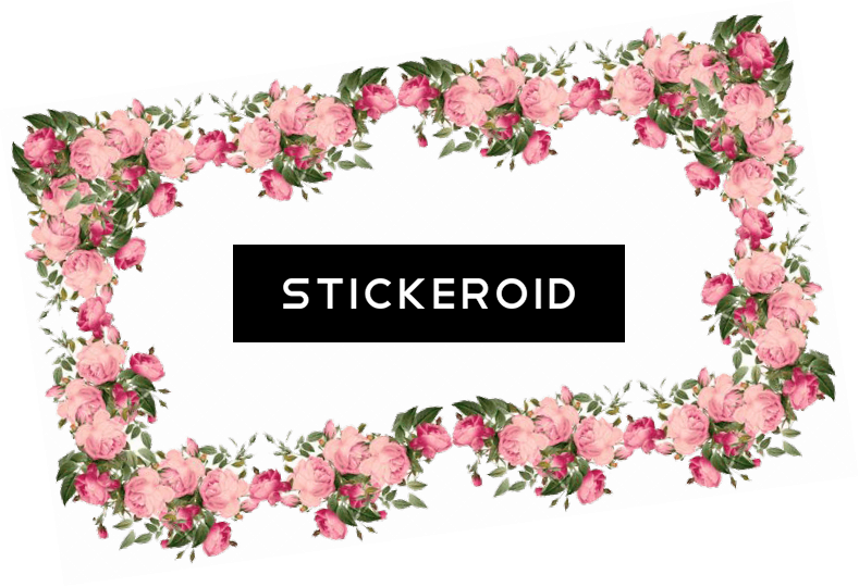Victorian Pink Frame - Transparent Background Floral Border (789x540), Png Download