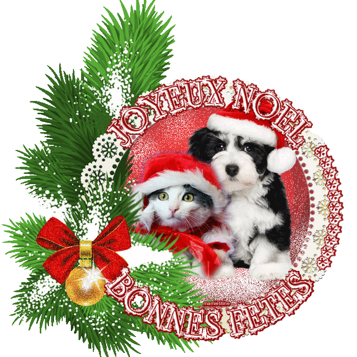 6-movie Christmas Collection (dvd) (673x700), Png Download