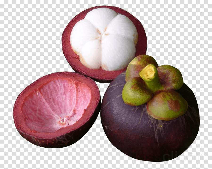 Download Mangosteen Png Clipart Mangosteens Clip Art - Purple Mangosteen Png (900x720), Png Download