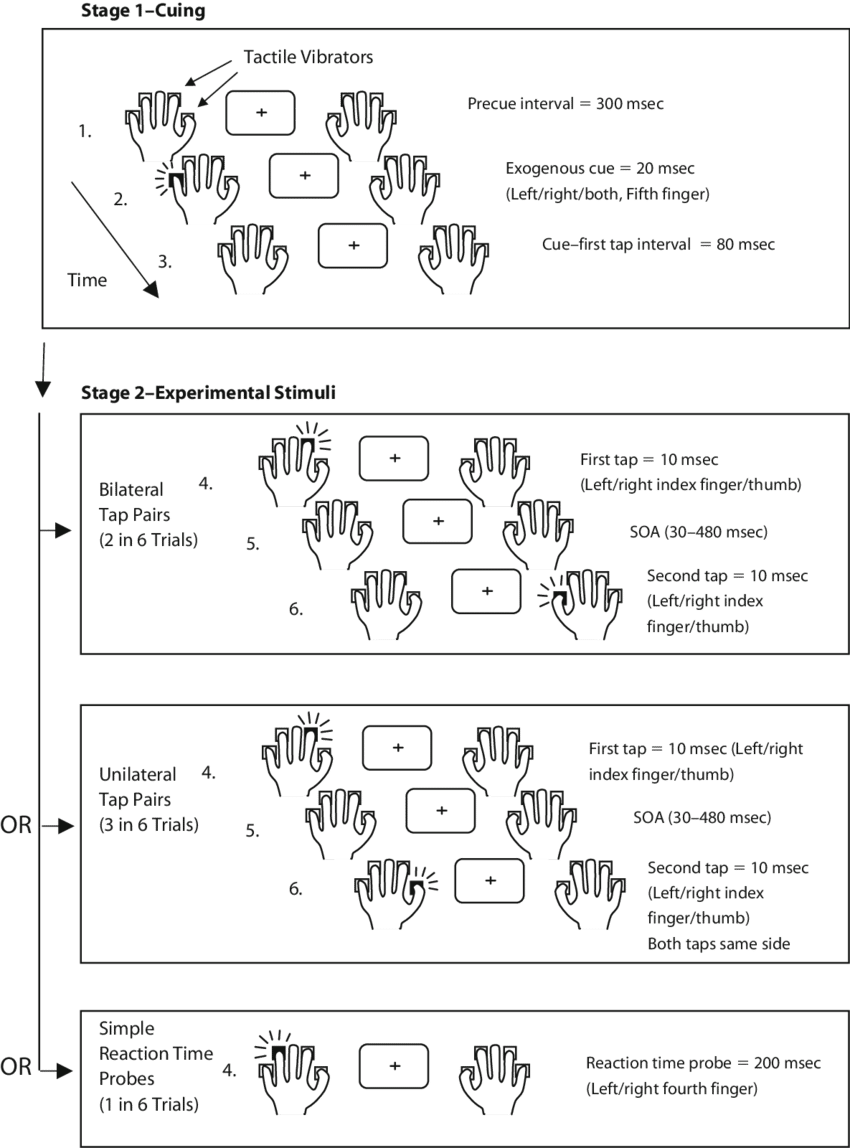 Sample Sequence Of Events For A Single Trial In The - Number (850x1148), Png Download