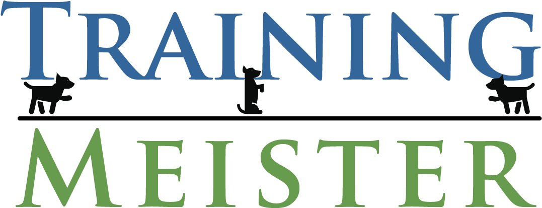 Training Meister Mastering Fun And Increasing Your - Graycliff Private Equity Logo (1352x737), Png Download